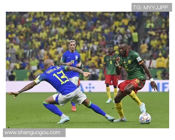 瑞士女排精彩对决巴西与喀麦隆的巅峰较量引人瞩目