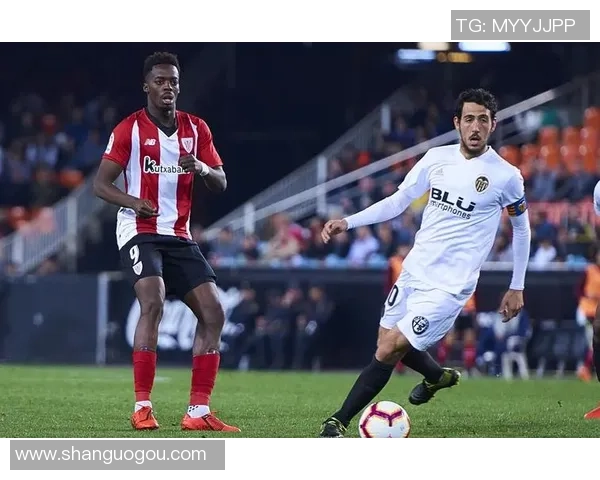 雷恩与贝蒂斯对决前瞻分析及比赛结果预测